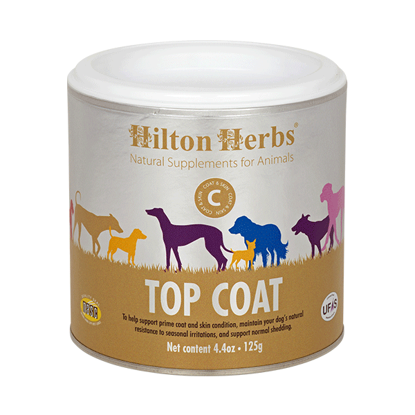 Un pot de Top Coat pour chien de Hilton Herbs